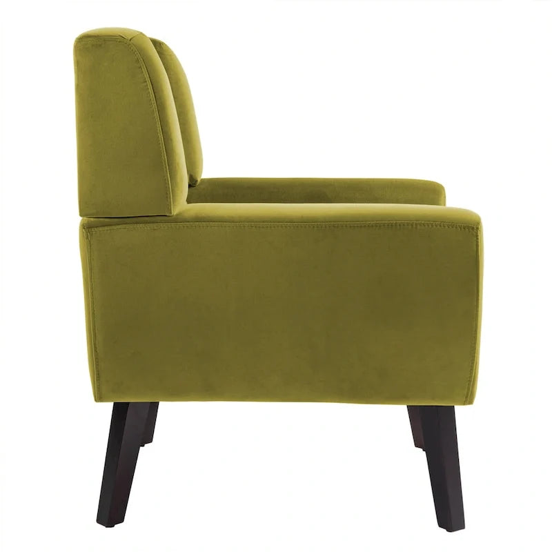 Lot de 2 fauteuils d'appoint en velours pour salon
